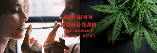 2c-b Надым